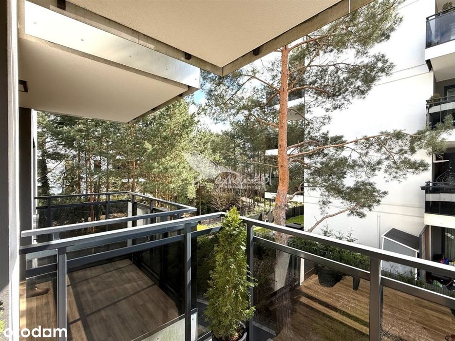 Jar | Sosnowe Zacisze | 2 pokoje | 52 m2