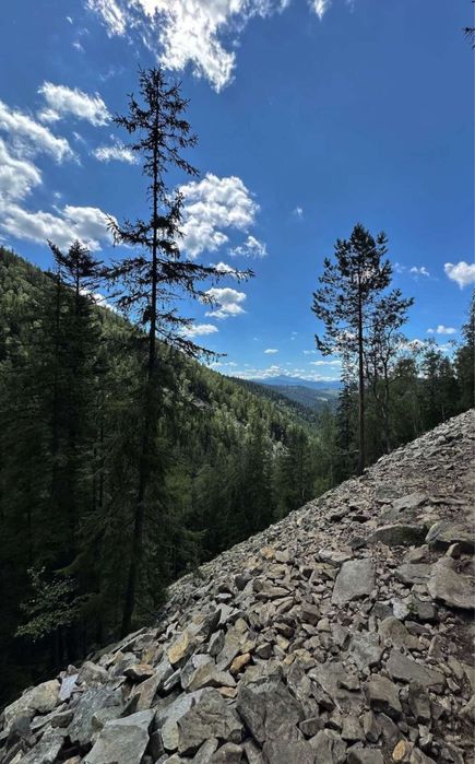Будинок у Карпатах з банею та каміном "Перлина Прикарпаття"