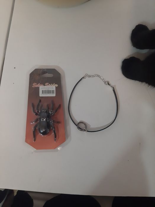 Іграшка для котика, собачки і делікатний ошийник