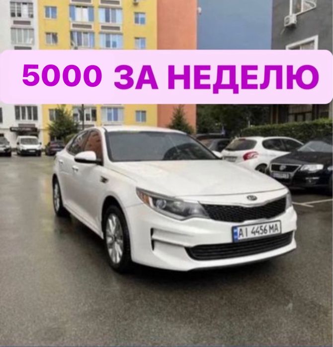 Авто выкуп, Авто аренда 100 евро за неделю