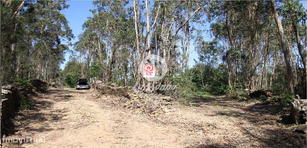 Bouça com 15.500m2 em Fradelos