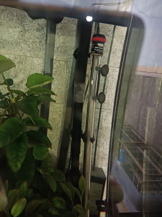 Filtros para aquário FX 6