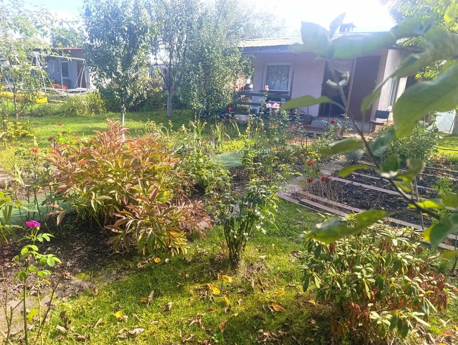 Ogródek działkowy ROD "Jutrzenka" 301 m² z murowaną altaną (prąd, woda) - Mysłowice - Widok 2