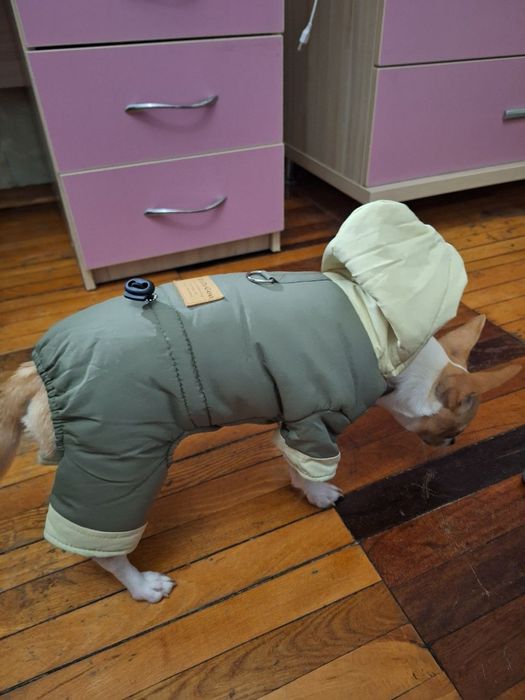 Курточка зимова для маленької собачки