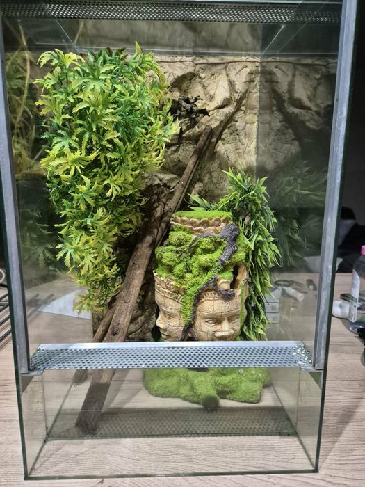 Terrarium dla gekona