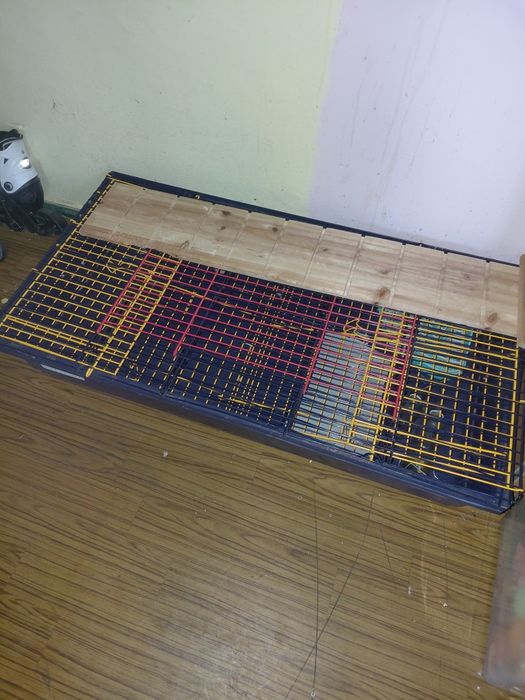 Klatka piętrowa dla świnki morskiej,chomika