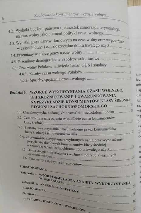 Książka "Zachowania konsumentów w czasie wolnym" A. Burlita