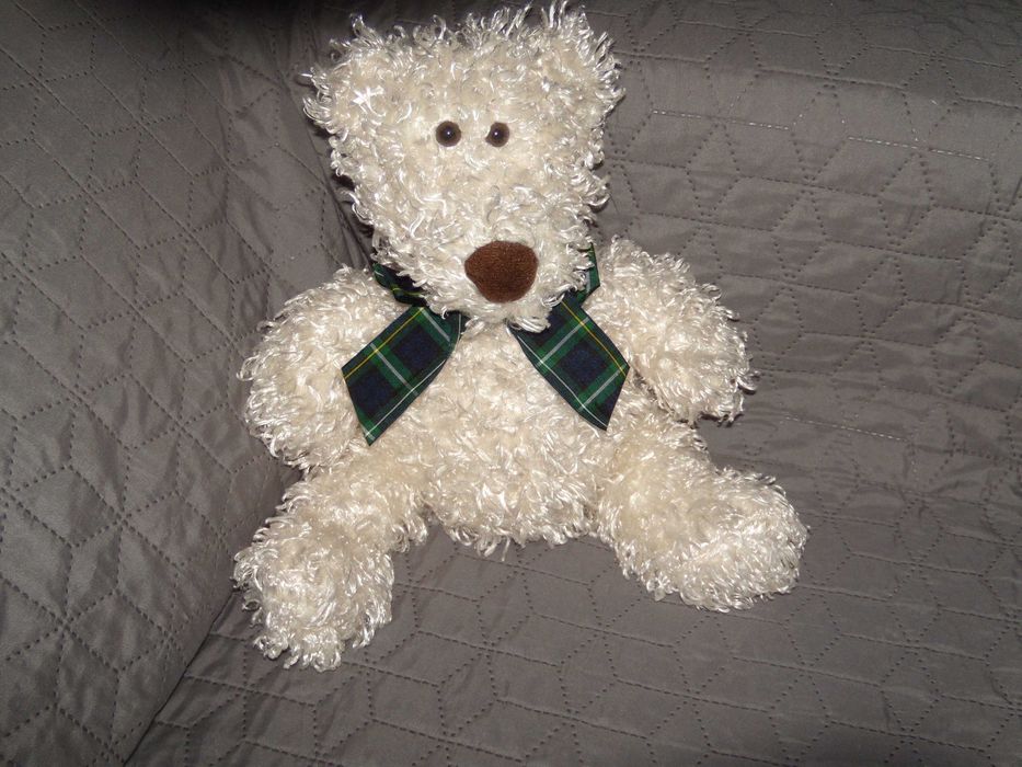 Maskotka miś firmy Color Rich