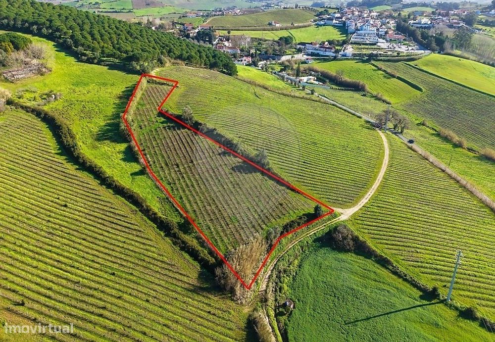 Terreno  para venda — Carvoeira E Carmões, Lisboa