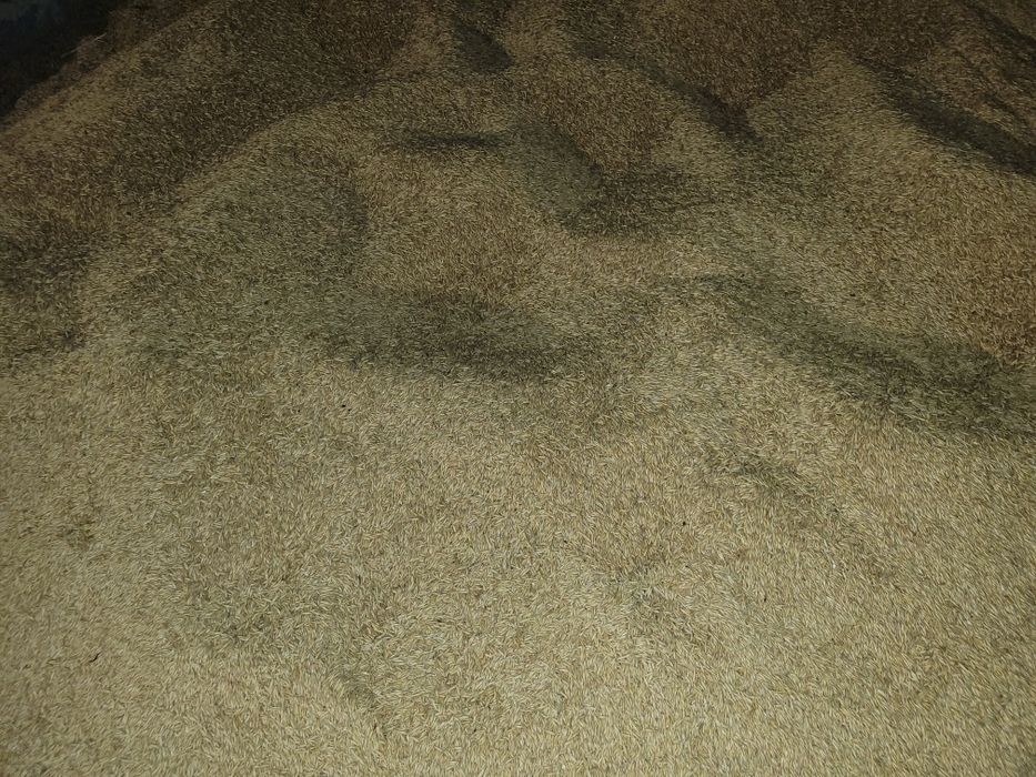 Owies, pellet 40kg, Bigbag 500kg