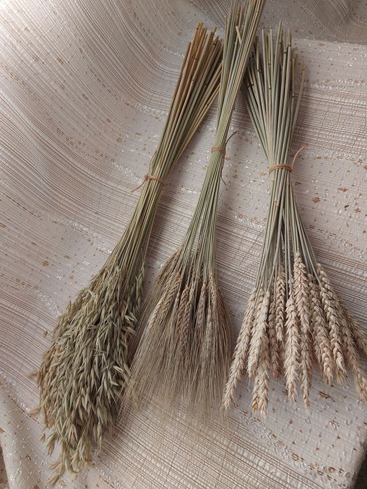 Колоски пшениця Жизель, льон