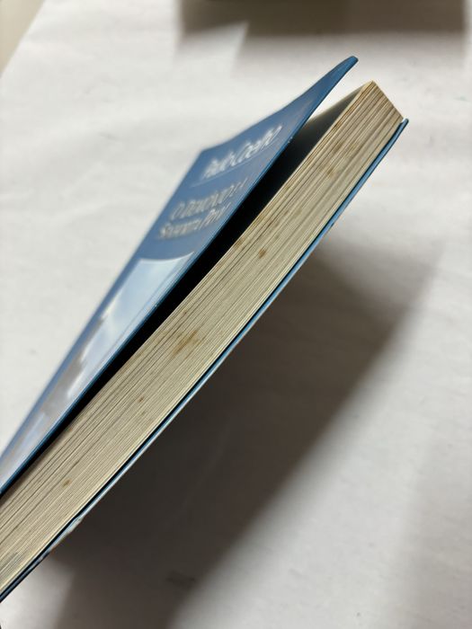 O demonio e a senhora prym