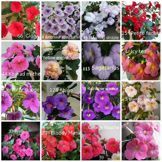 Перчатки нитриловые  ахименесы