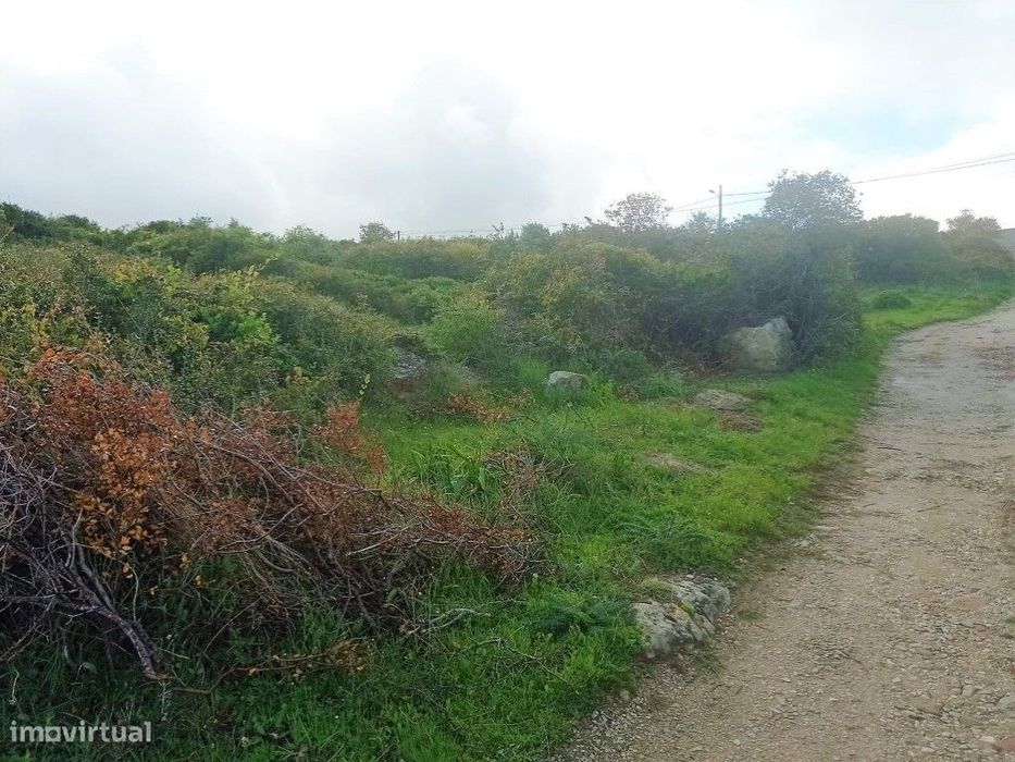 Terreno rústico com plano para 2 Lotes, Tapada da Serra, Vale de Lobos