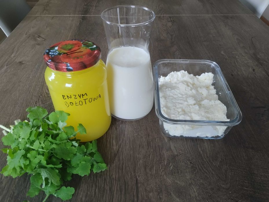 Zakwas (enzymy) Bołotwa na koziej serwatce. 1 litr