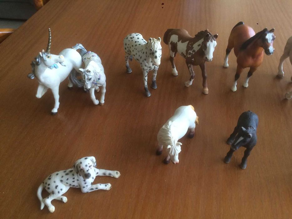 Cavalos e outros animais