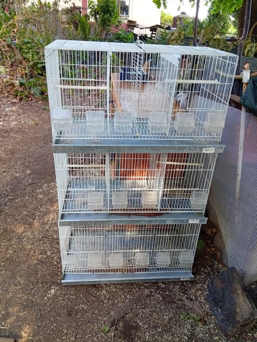 Gaiola criação viveiro de três divisões