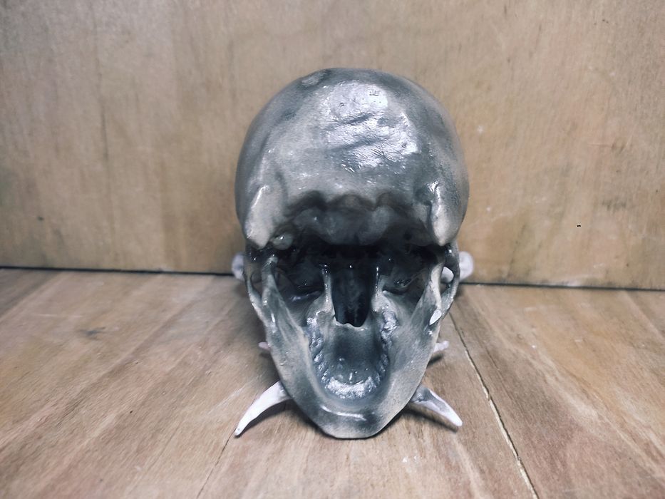 Череп для чёрной магии, некромантии