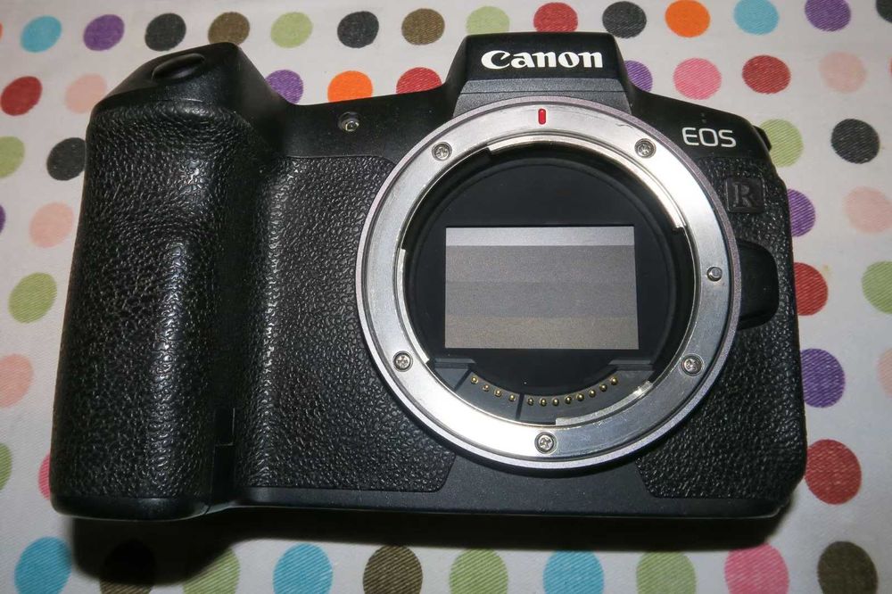 Canon EOS R  Full Frame  30.3 MP 4K