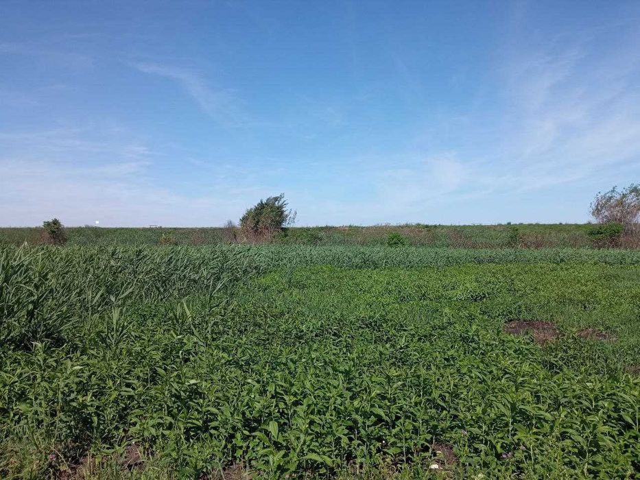 Продаж ділянки для душі поблизу села Гамаліївка!