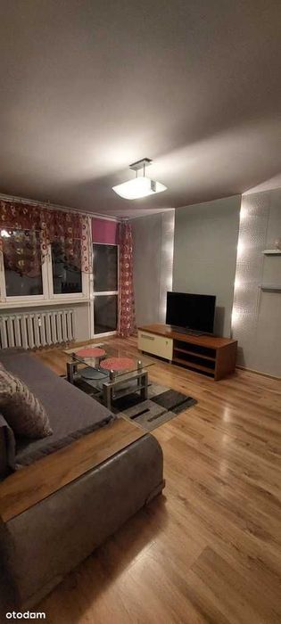 3 pokojowe mieszkanie do wynajęcia !