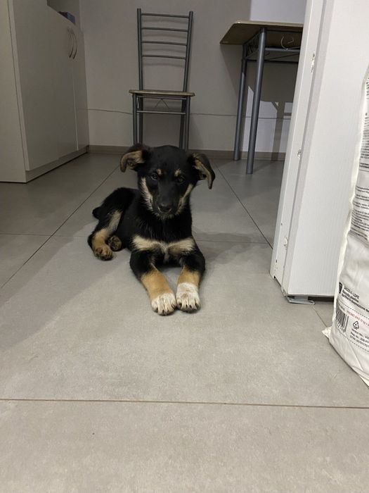 SOS!!! Допоможіть отримати сім'ю, дві дівчинки