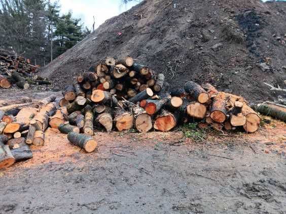 Drewno opałowe mieszane mp PILNE