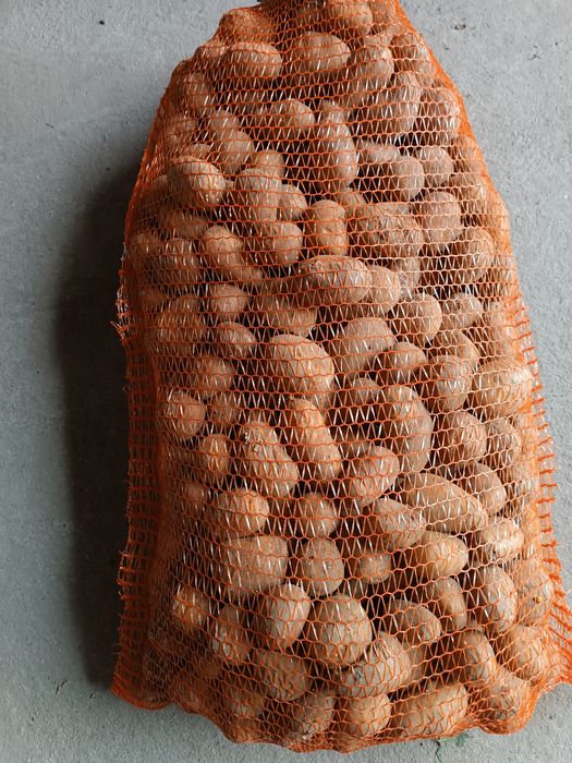 Sprzedam ziemniaki marchew buraki