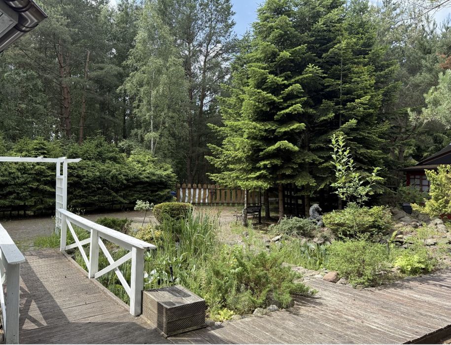 Klimatyczny domek nad morzem w lesie(Sasino)