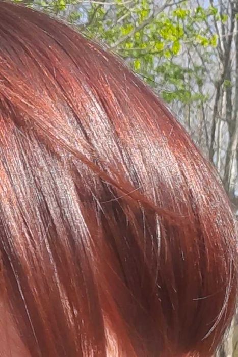 Хна премиум качества от производителя в Индии