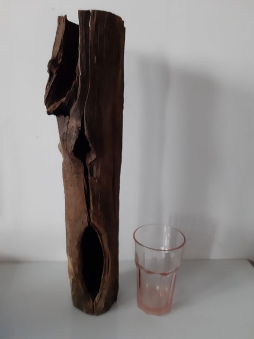 Korzeń/pień do akwarium/terrarium.