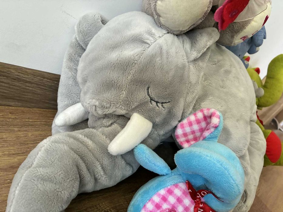 duża rodzinka słoni