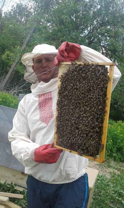 Продам бджолопакети українка(БДЖОЛИ)пчелы  травень 4р.р 2026.РОКУ.4р.р