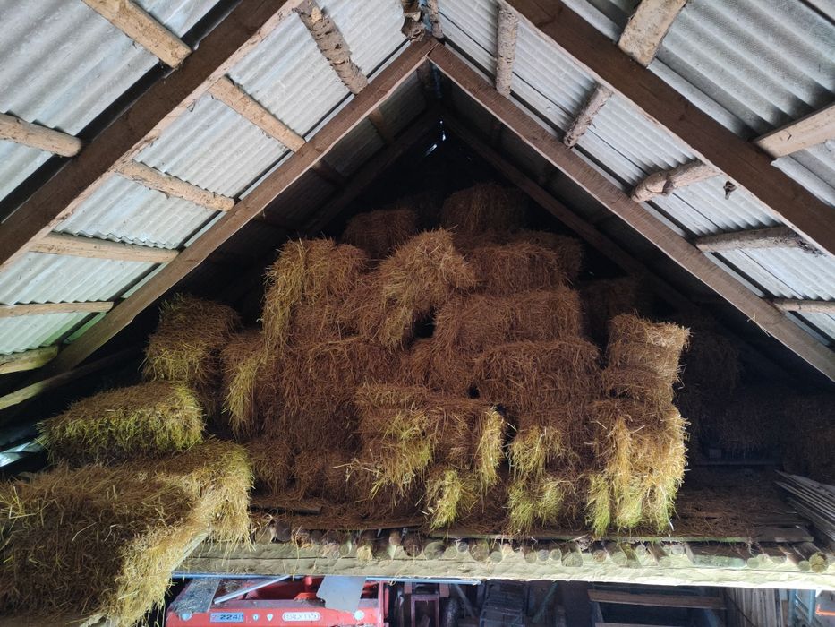 Sprzedsm słomę ciuki