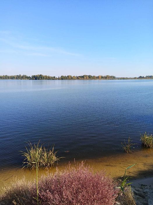 Козин Конча Заспа продажа участка 1,7га с выходом на Днепр