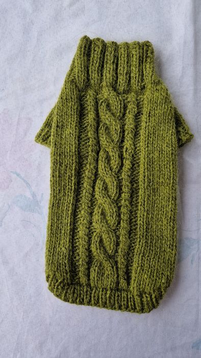 Одежда для собак.