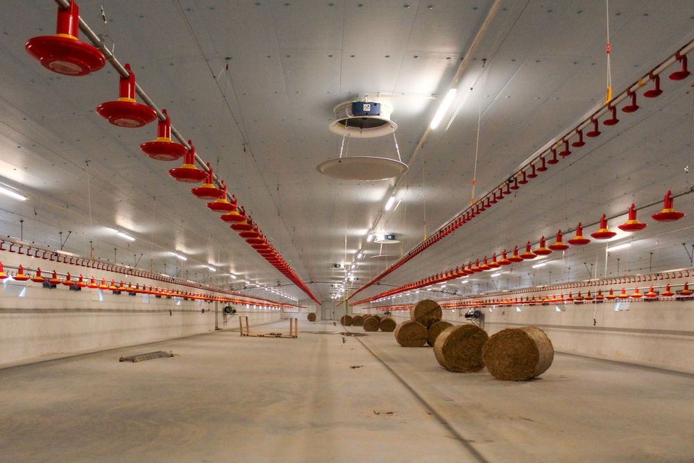 Styrodur XPS AGRO Płyty Izolacyjne Dachowe Obornickie Nie Warstwowe