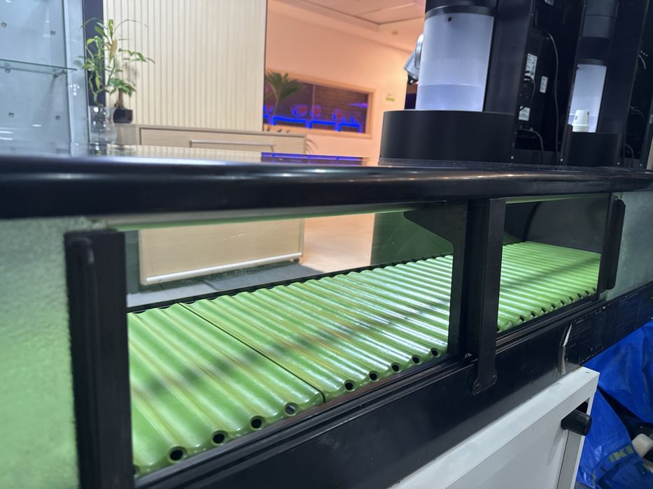 Vitrine Refrigerada Profissional Hoshizaki 180 cm – Sushi | Tapas | Hotelaria