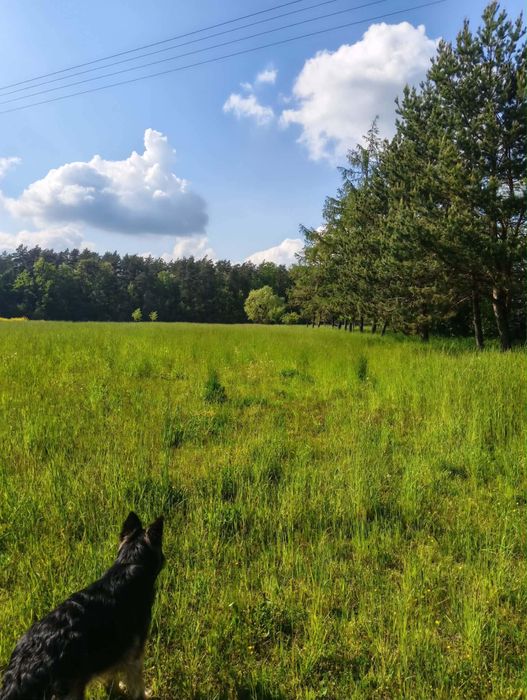 Działki budowlane