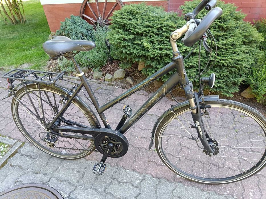 Rower trekkingowy bergamont