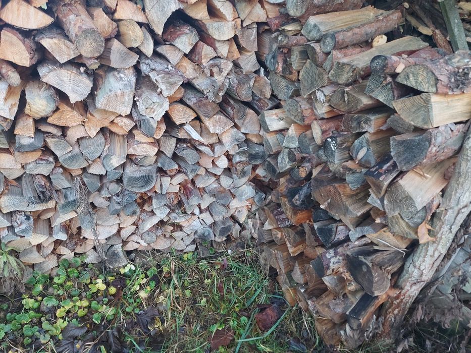 Drzewo opałowe sosna, akacja, brzoza