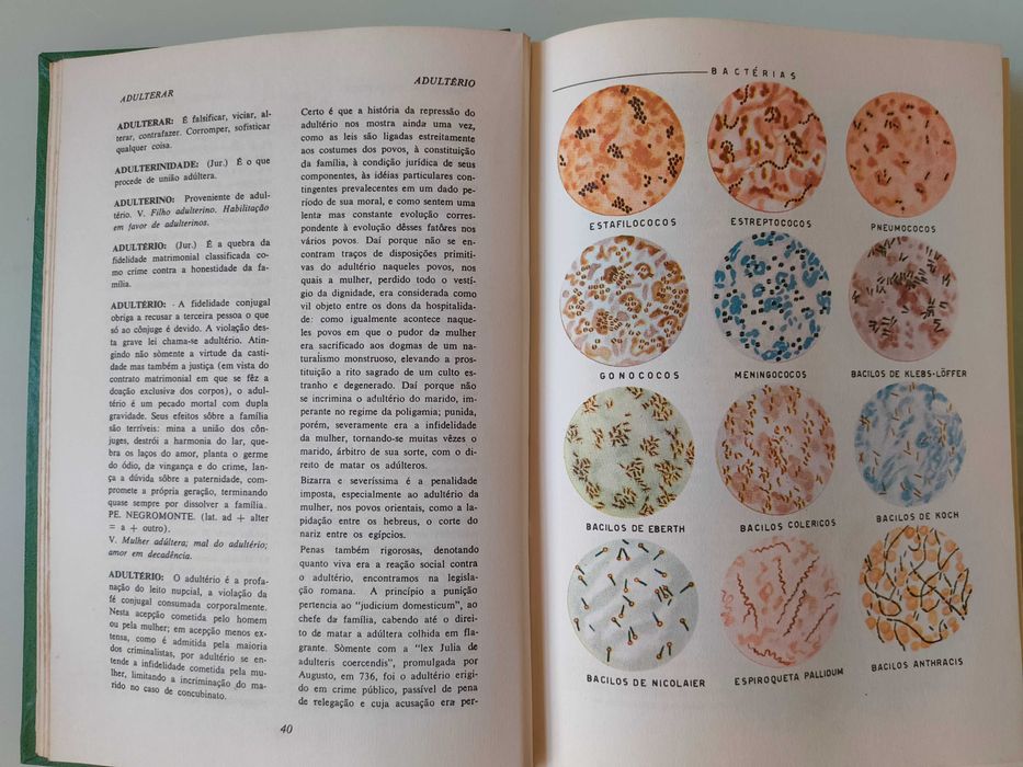 Coleção SAV - Sexo Amor e Vida (em 4 volumes)