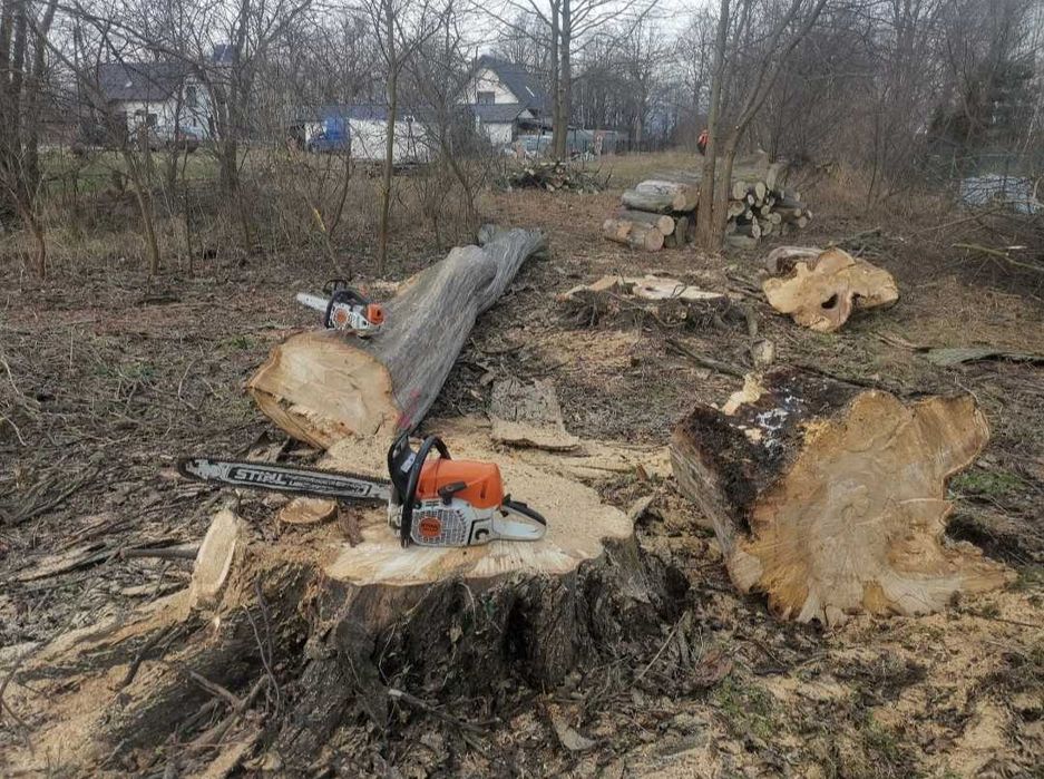 Koszenie działek wycinka drzew zrębkowanie karczowanie ogrodzenia budo