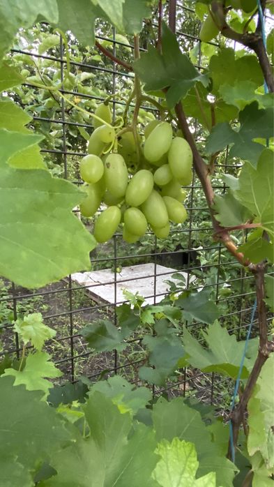 Продаж Будинку 2-х пов. 180м2, с. Романків, м. Київ 20 км. м. Обухів 10км.