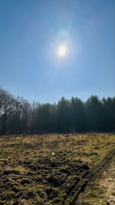 Sprzedam działkę budowlaną 1170 m² Czapielsk - Widok 4