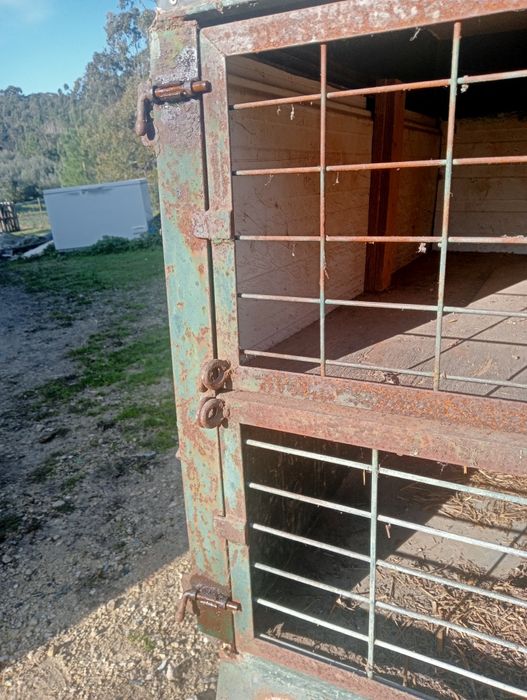 Atrelado/Reboque para cães