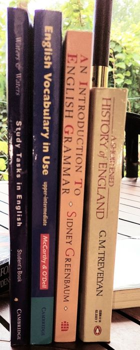 Livros inglês nível médio/avançado