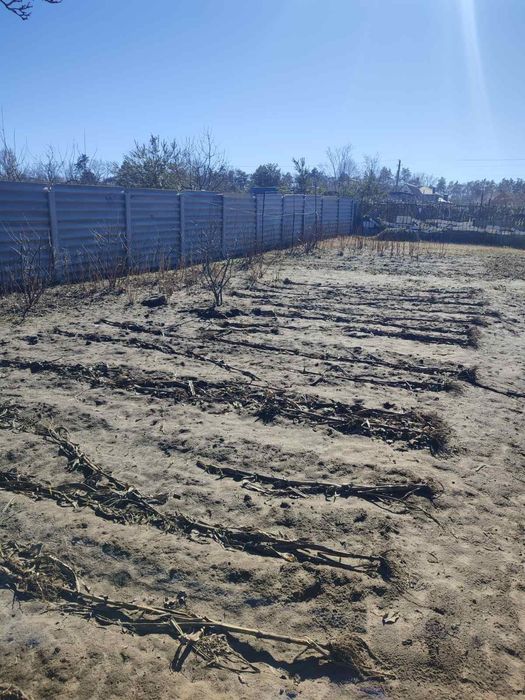 Продаж земельної ділянки під забудову, с. Терентіївка, 15 соток!