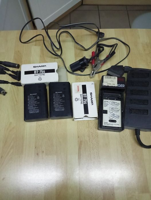 Kamera SHARP oraz video Daewoo +Baterię i ładowarka do kamery Sharp