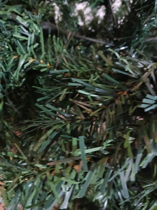 Árvore Natal 1,50 cms